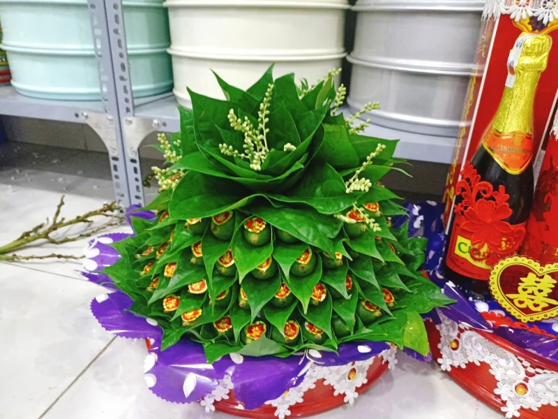 Mâm Quả Cưới Miền Trung Phong Cách Hiện Đại Tại Bình Dương